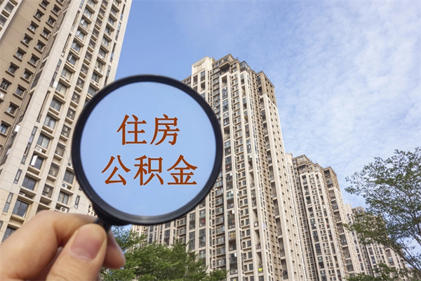 正定广州公积金缴存证明在哪里开（正定广州公积金缴存证明在哪里开具）